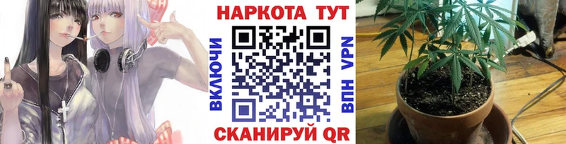Купить закладку Суворов Гашиш  мега вход  Cocaine  Alpha-PVP  Меф  Канабис  Галлюциногенные грибы 