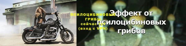 MESCALINE Надым